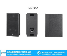 陕西西安铜川演出音响选购指南 天籁骏腾与中国供应商的价值解析